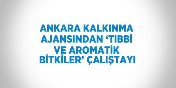 ANKARA KALKINMA AJANSINDAN ‘TIBBİ VE AROMATİK BİTKİLER’ ÇALIŞTAYI