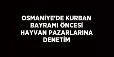 20634301982419323868tasarimli