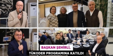 20642283212983030054tasarimli