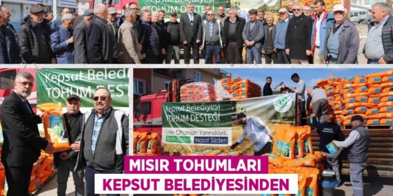 MISIR TOHUMLARI  KEPSUT BELEDİYESİNDEN