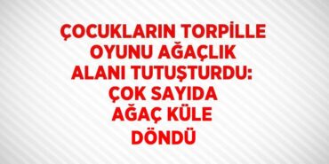 20664309152498220994tasarimli