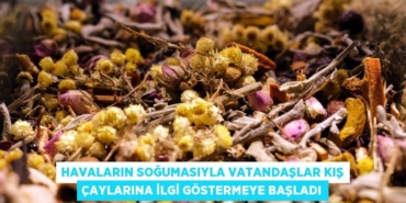 20666209542447222905tasarimli