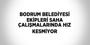 20676283192828831436tasarimli