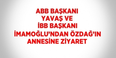 20679266182666523439tasarimli