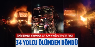 20683315283126824818