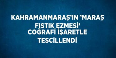 20685253932228723799tasarimli