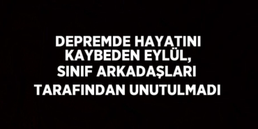 20692204502967026145tasarimli