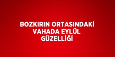 20692240233058021376tasarimli