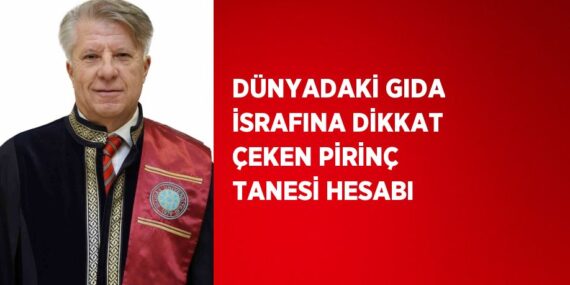 DÜNYADAKİ GIDA İSRAFINA DİKKAT ÇEKEN PİRİNÇ TANESİ HESABI