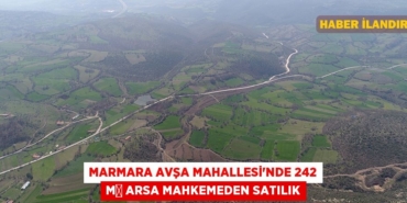 20717274692260531570tasarimli