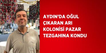 20721261232047828508