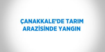 20725261412763024540tasarimli