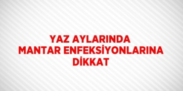 20727319352965927043tasarimli