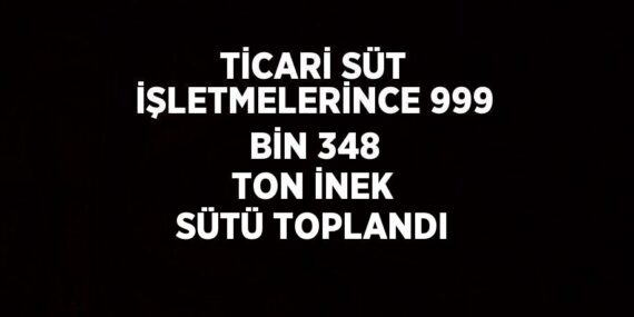 TİCARİ SÜT İŞLETMELERİNCE 999 BİN 348 TON İNEK SÜTÜ TOPLANDI