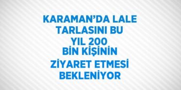 20739310973139323848tasarimli