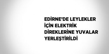 20740208292844921732