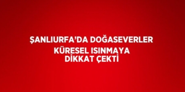 20740304672026028461tasarimli