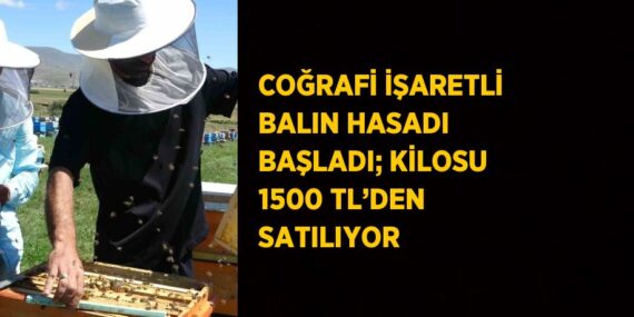 COĞRAFİ İŞARETLİ BALIN HASADI BAŞLADI; KİLOSU 1500 TL’DEN SATILIYOR