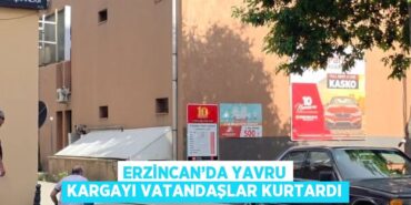 20750250613046727057tasarimli