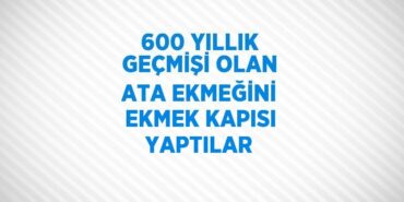 20752227872772827776tasarimli