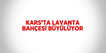 20758227723091828477tasarimli