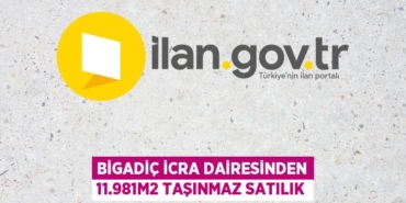20760247933164230741tasarimli