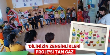 20766200192612525341tasarimli