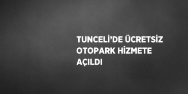 20778247732958031477