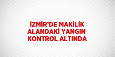 20783261112908528400tasarimli