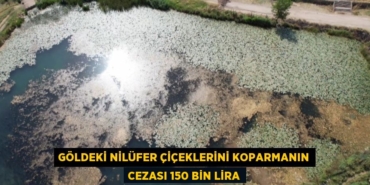 20790274882104224005tasarimli