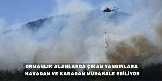 ORMANLIK ALANLARDA ÇIKAN YANGINLARA HAVADAN VE KARADAN MÜDAHALE EDİLİYOR