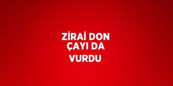 ZİRAİ DON ÇAYI DA VURDU