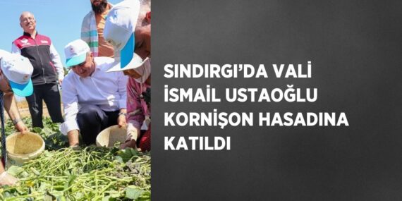 SINDIRGI’DA VALİ İSMAİL USTAOĞLU KORNİŞON HASADINA KATILDI