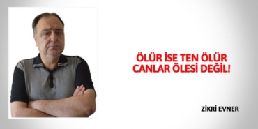 20798248893173924377