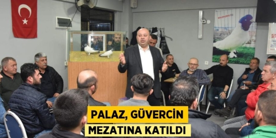 PALAZ, GÜVERCİN MEZATINA KATILDI