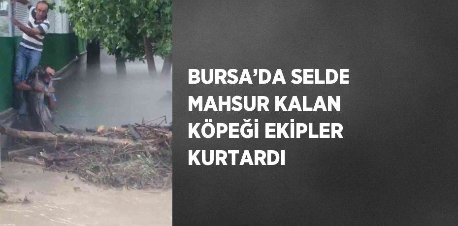 20816251942765629915