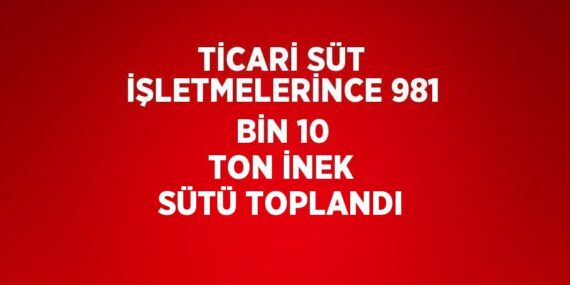 TİCARİ SÜT İŞLETMELERİNCE 981 BİN 10 TON İNEK SÜTÜ TOPLANDI