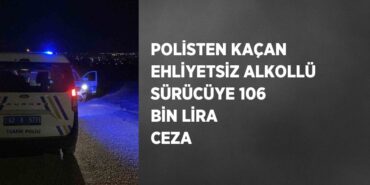 20823261152334623131