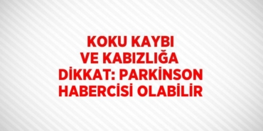 20826255332114324279tasarimli