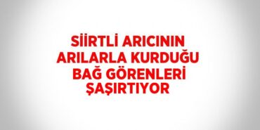 20828209732438929652tasarimli