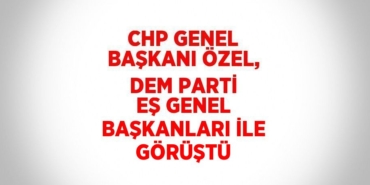 20829232812580125835tasarimli