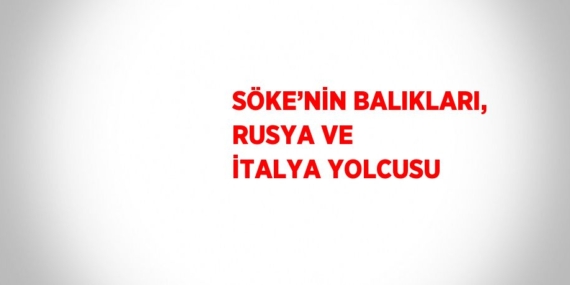 SÖKE’NİN BALIKLARI, RUSYA VE İTALYA YOLCUSU