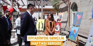 20845276532143730814tasarimli