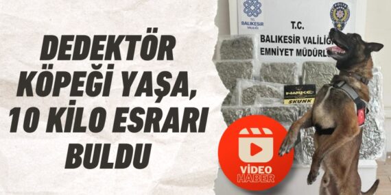 DEDEKTÖR KÖPEĞİ YAŞA, 10 KİLO ESRARI BULDU