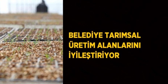 BELEDİYE TARIMSAL ÜRETİM ALANLARINI İYİLEŞTİRİYOR