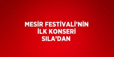 20861216082916931682tasarimli