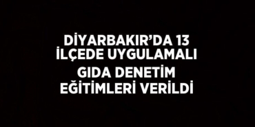 20863251472405726077tasarimli