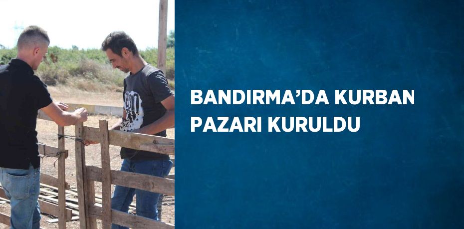 20868216312665224085