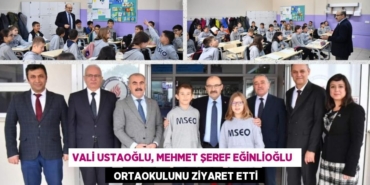 20881310322743824378tasarimli