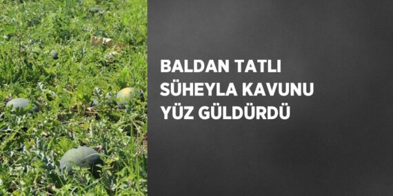 BALDAN TATLI SÜHEYLA KAVUNU YÜZ GÜLDÜRDÜ